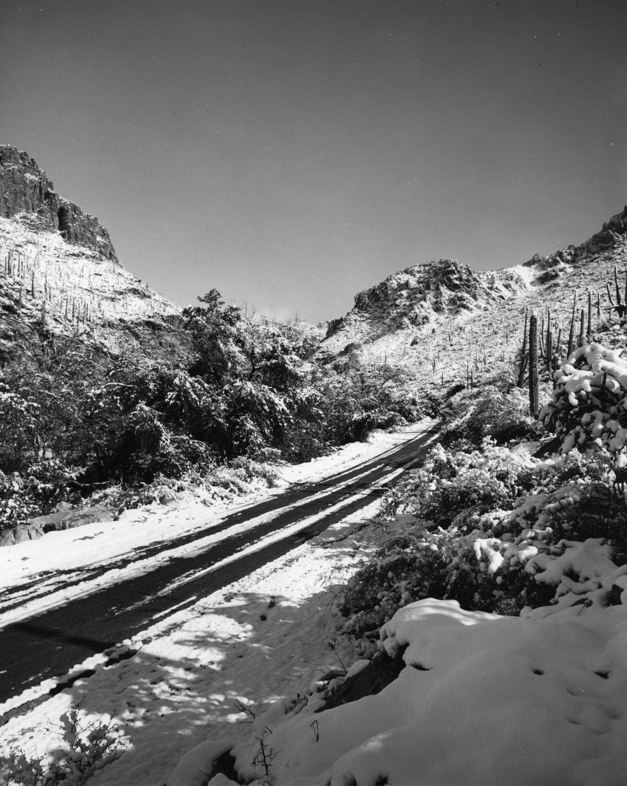Sabino Canyon Recreation Area, Tucson